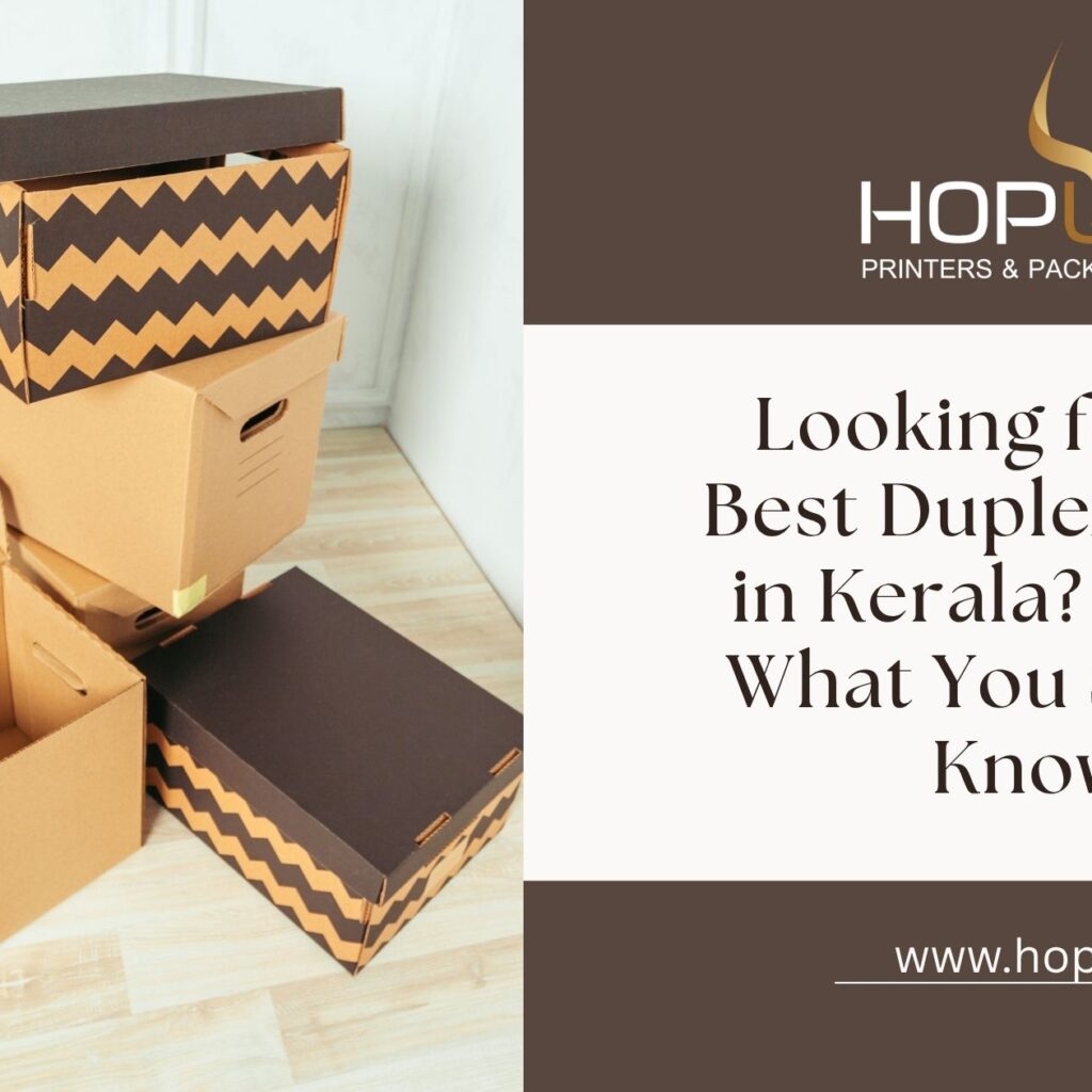 Looking for Best Duplex Boxes in Kerala? What Yo Know